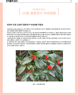 12월 멸종위기 야생생물