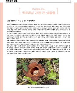 세게에서 가장 큰 생물들