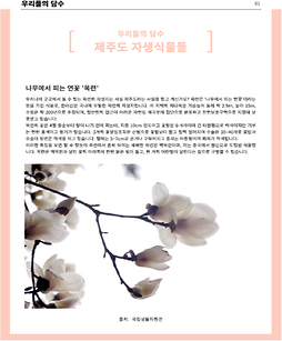 제주도 자생식물들