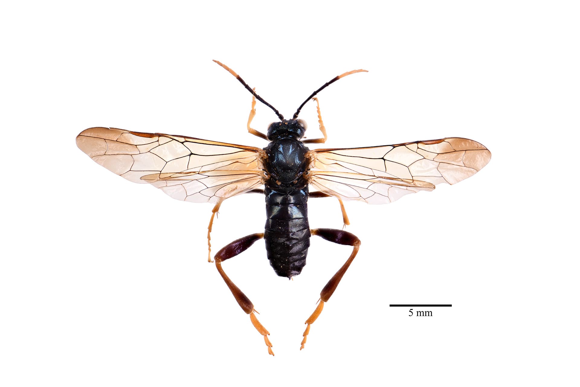 기증 표본 사진