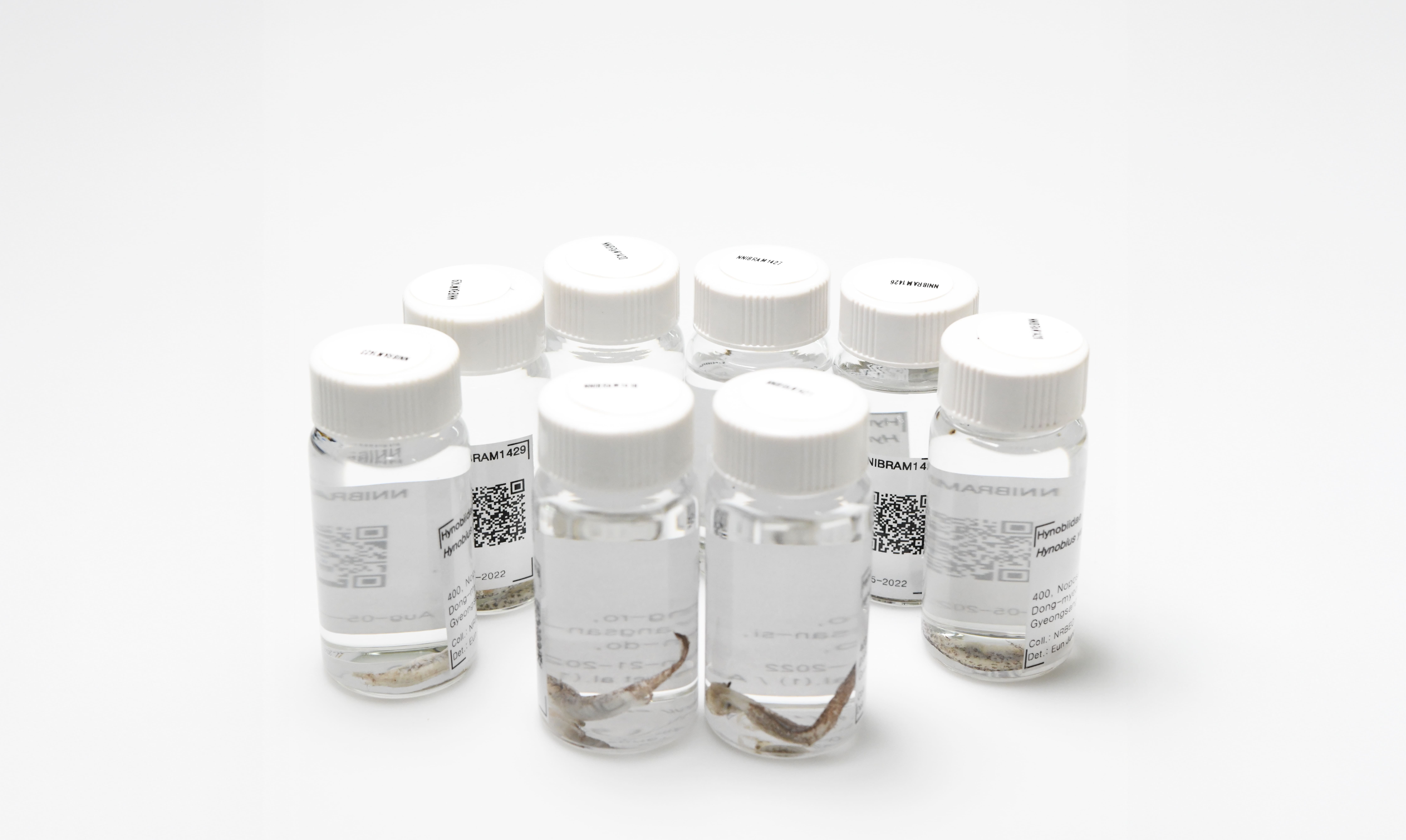 기증 표본 사진